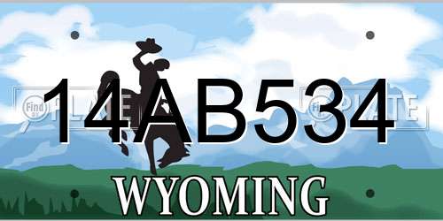 14AB534 Wyoming License Plate
