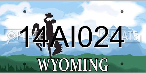 14AI024 Wyoming License Plate