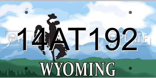 14AT192 Wyoming License Plate