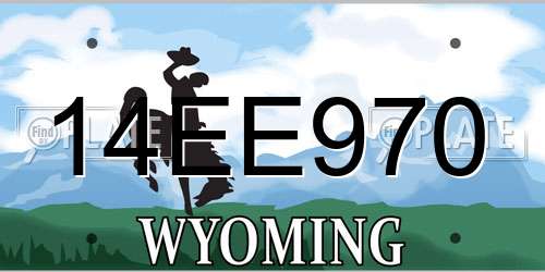 14EE970 Wyoming License Plate