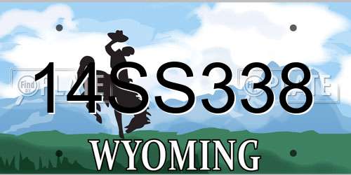 14SS338 Wyoming License Plate
