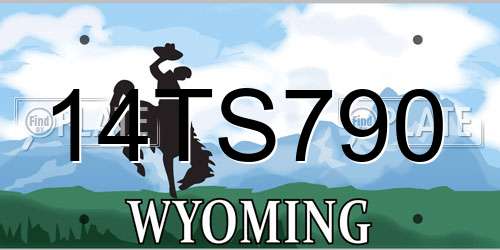 14TS790 Wyoming License Plate