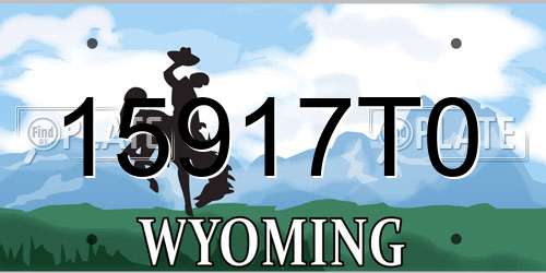 15917T0 Wyoming License Plate