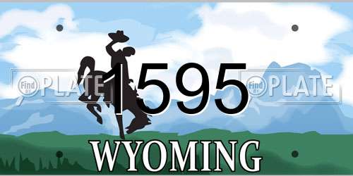 1595 Wyoming License Plate