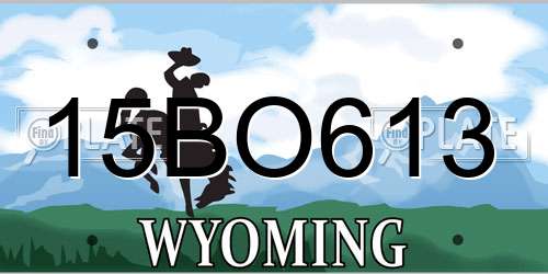 15BO613 Wyoming License Plate