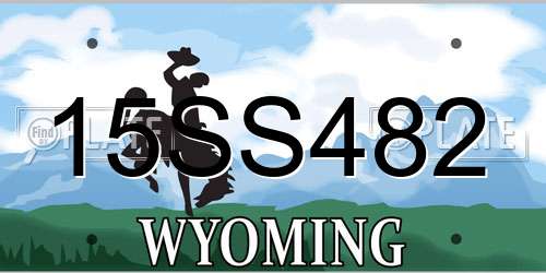 15SS482 Wyoming License Plate