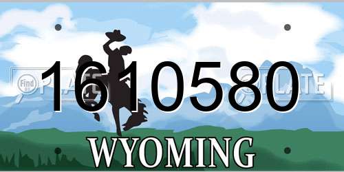 1610580 Wyoming License Plate