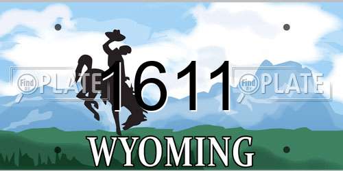 1611 Wyoming License Plate