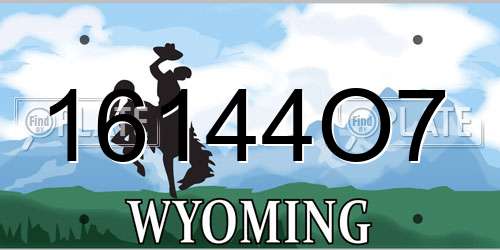 16144O7 Wyoming License Plate