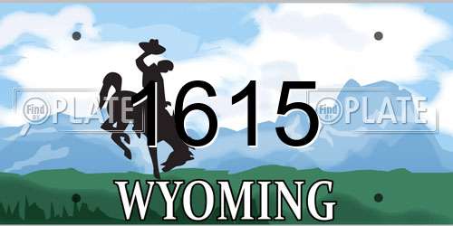 1615 Wyoming License Plate