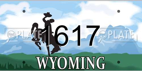 1617 Wyoming License Plate