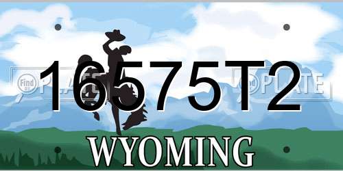 16575T2 Wyoming License Plate