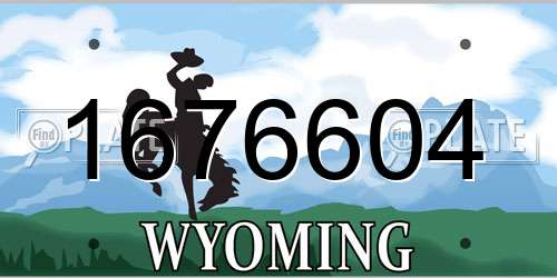 1676604 Wyoming License Plate