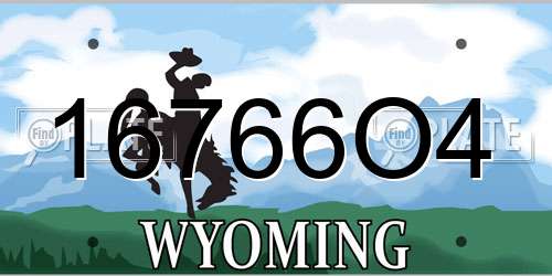 16766O4 Wyoming License Plate