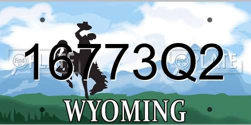 16773Q2 Wyoming License Plate