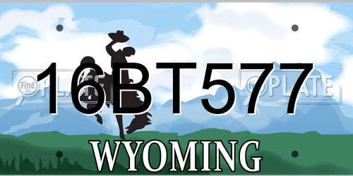 16BT577 Wyoming License Plate