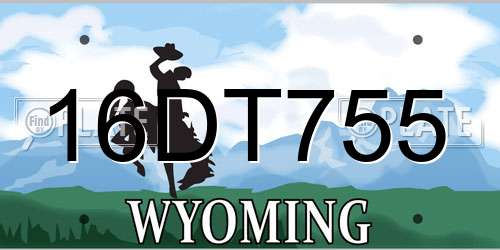 16DT755 Wyoming License Plate