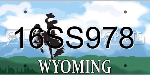 16SS978 Wyoming License Plate