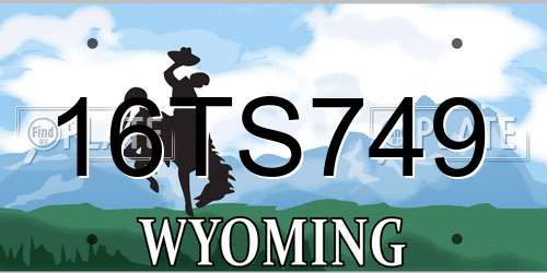 16TS749 Wyoming License Plate