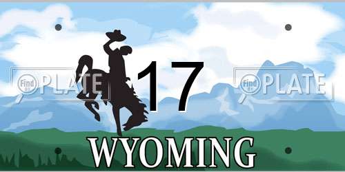 17 Wyoming License Plate