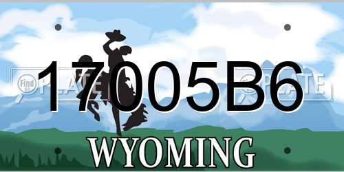 17005B6 Wyoming License Plate
