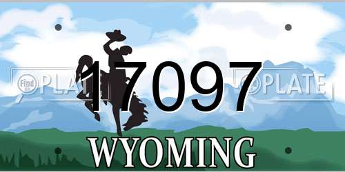 17097 Wyoming License Plate
