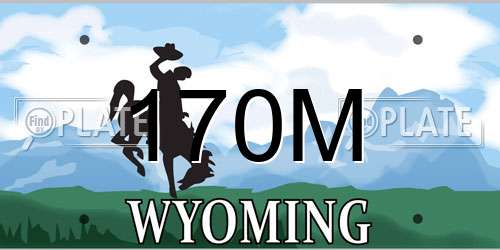 170M Wyoming License Plate