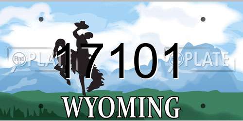 17101 Wyoming License Plate