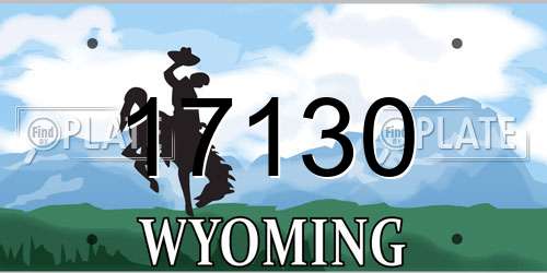 17130 Wyoming License Plate