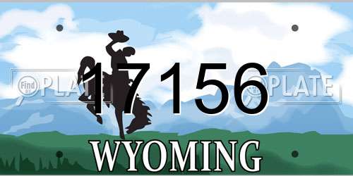 17156 Wyoming License Plate