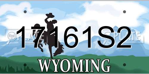 17161S2 Wyoming License Plate