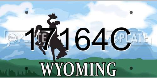 17164C Wyoming License Plate