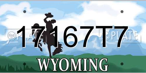 17167T7 Wyoming License Plate