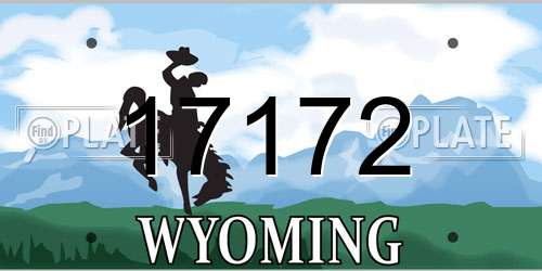 17172 Wyoming License Plate