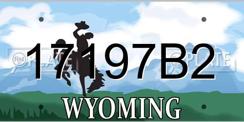 17197B2 Wyoming License Plate