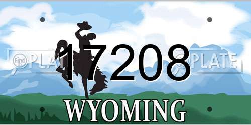 17208 Wyoming License Plate