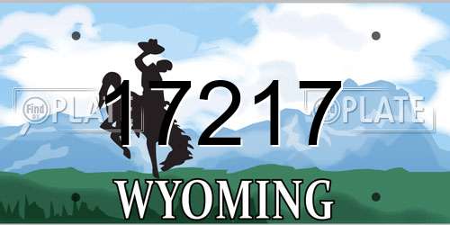 17217 Wyoming License Plate