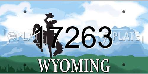 17263 Wyoming License Plate