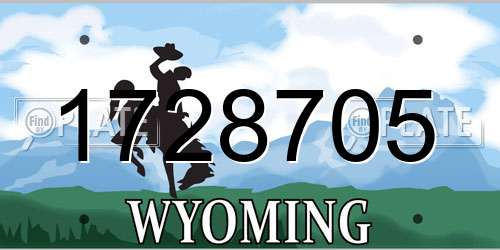 1728705 Wyoming License Plate