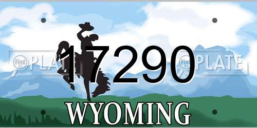 17290 Wyoming License Plate
