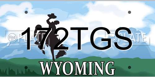172TGS Wyoming License Plate