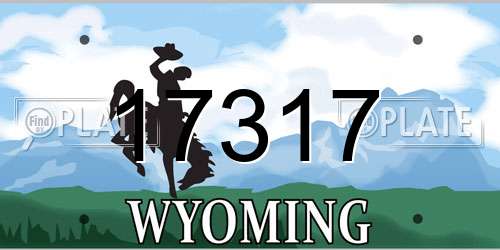 17317 Wyoming License Plate