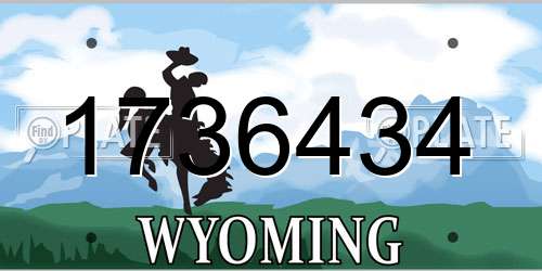 1736434 Wyoming License Plate
