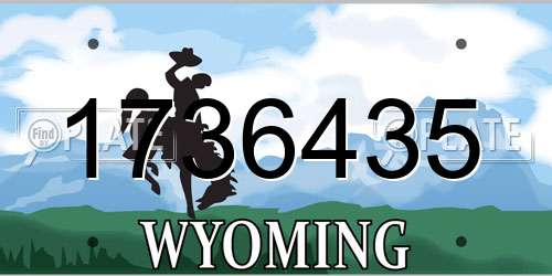 1736435 Wyoming License Plate