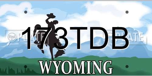 173TDB Wyoming License Plate