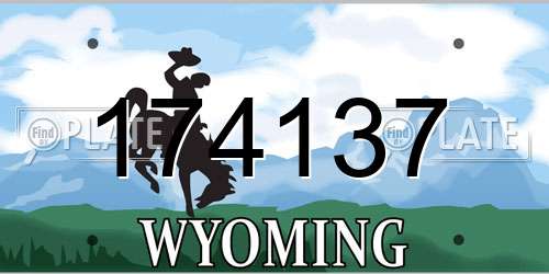 174137 Wyoming License Plate
