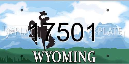 17501 Wyoming License Plate