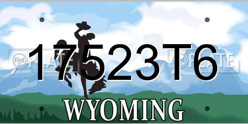 17523T6 Wyoming License Plate