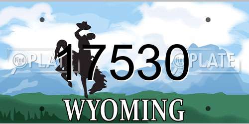 17530 Wyoming License Plate