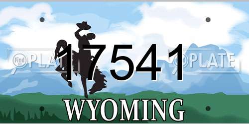17541 Wyoming License Plate